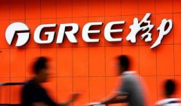 格力股东爆料案例最新,揭秘格力内部惊人真相